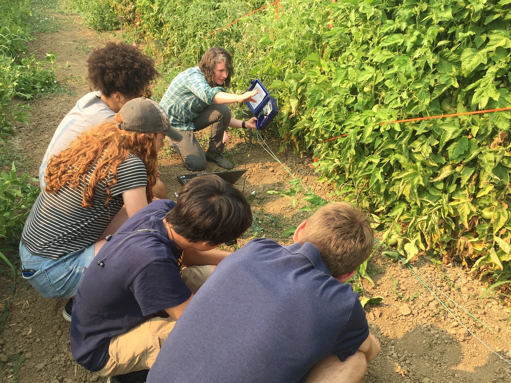 Students of the Agriculture Program "on the field" learning about crop growth patterns.