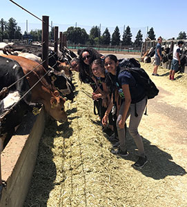 Students smiling at dairy farm
