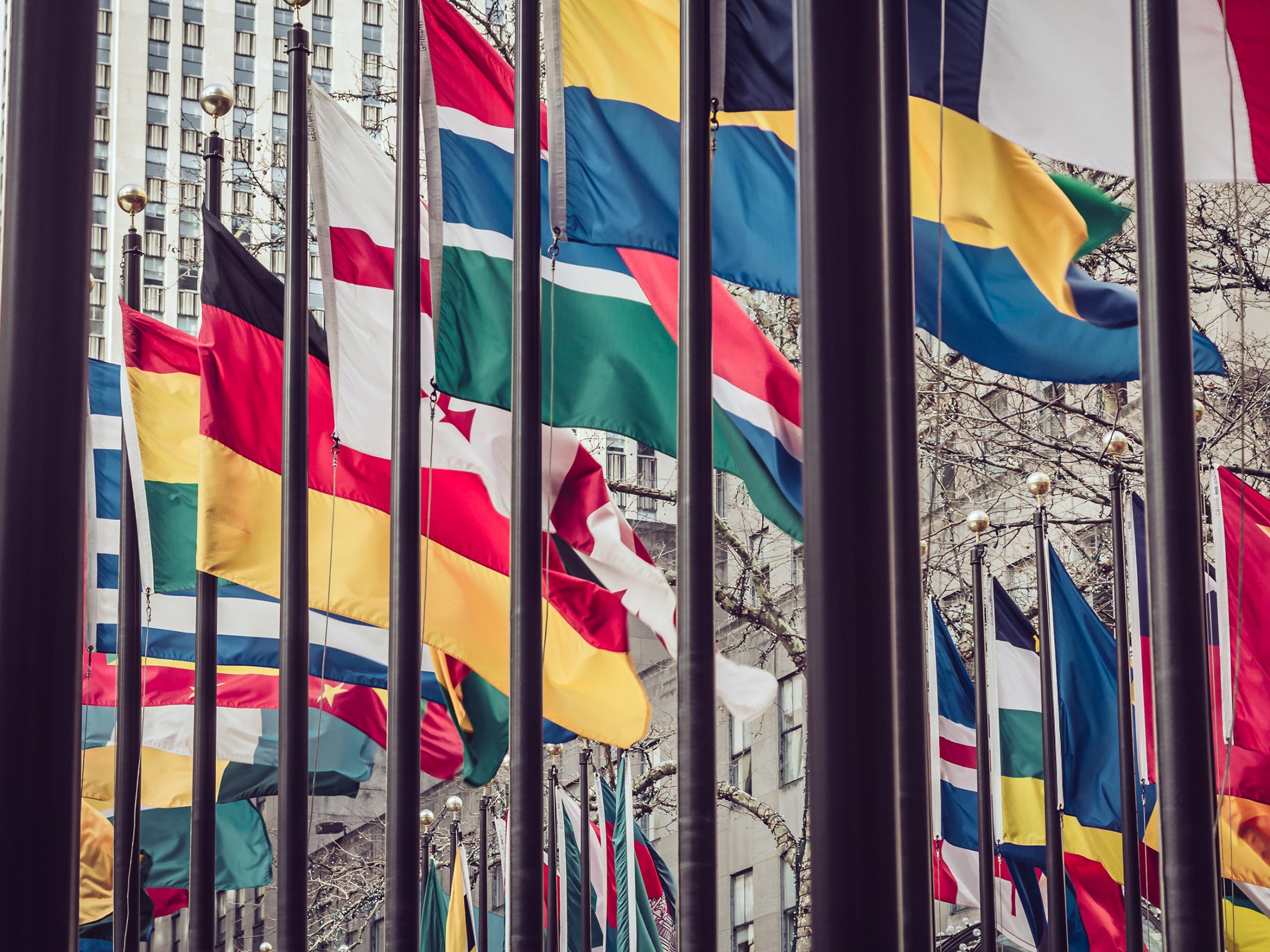 United Nations flags