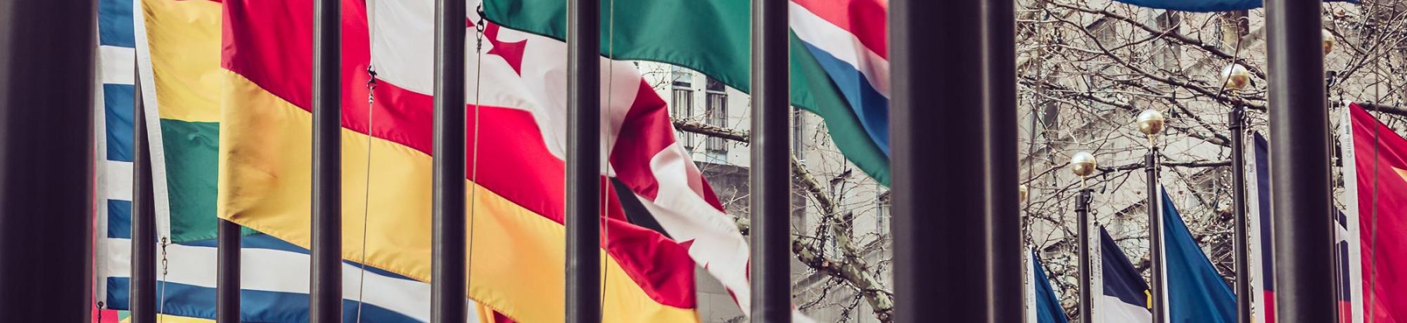 United Nations flags